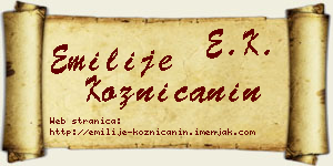 Emilije Kozničanin vizit kartica